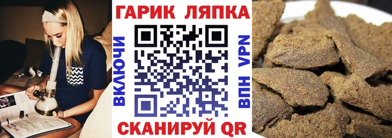 дарк нет наркотические препараты  купить наркотик  Новоузенск  ГАШ Изолятор 