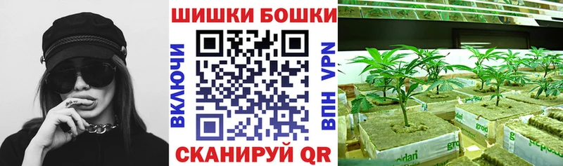 купить закладку  Новоузенск  блэк спрут вход  Каннабис гибрид 